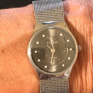 Skagen Adjustable Mesh Band watch